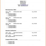 10 Blank Resume Template Pdf Professional List Free Printable 3   Free Printable Blank Resume