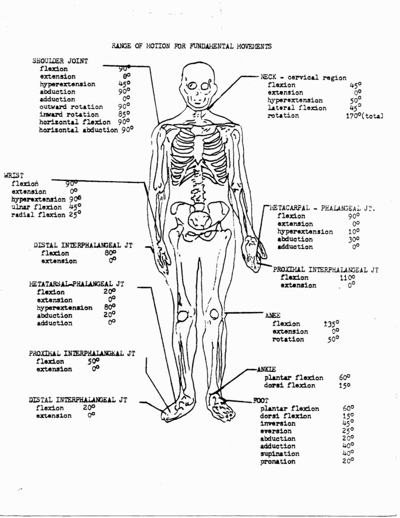 18 Fresh Free Printable Human Anatomy Coloring Pages Page Throughout - Free Printable Anatomy Pictures