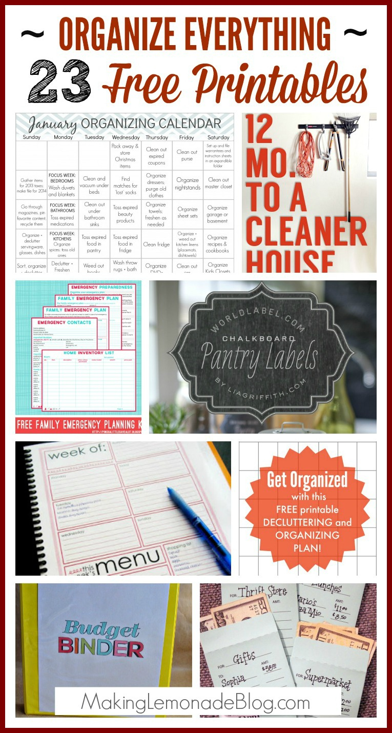 23 Free Printables To Organize Everything - Free Printable Home Organization Worksheets