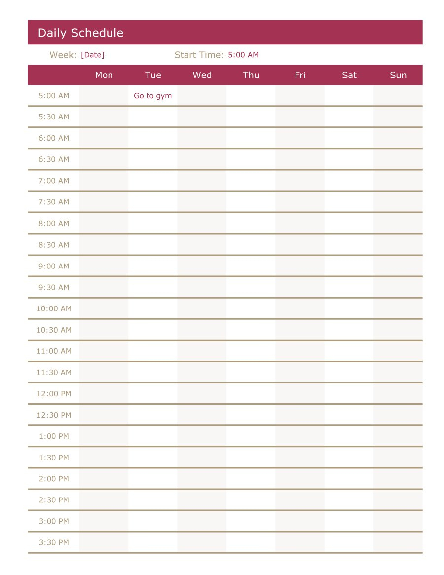 40+ Printable Daily Planner Templates (Free) - Template Lab - Free Printable Daily Planner
