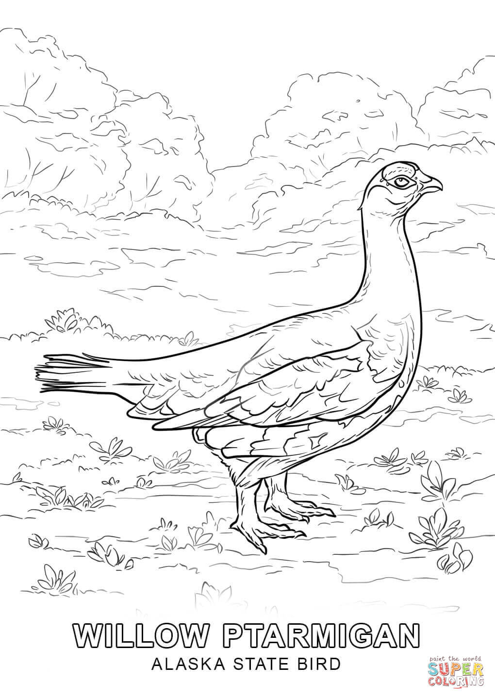 Alaska State Bird Coloring Page | Free Printable Coloring Pages - Free Printable Pictures Of Alaska