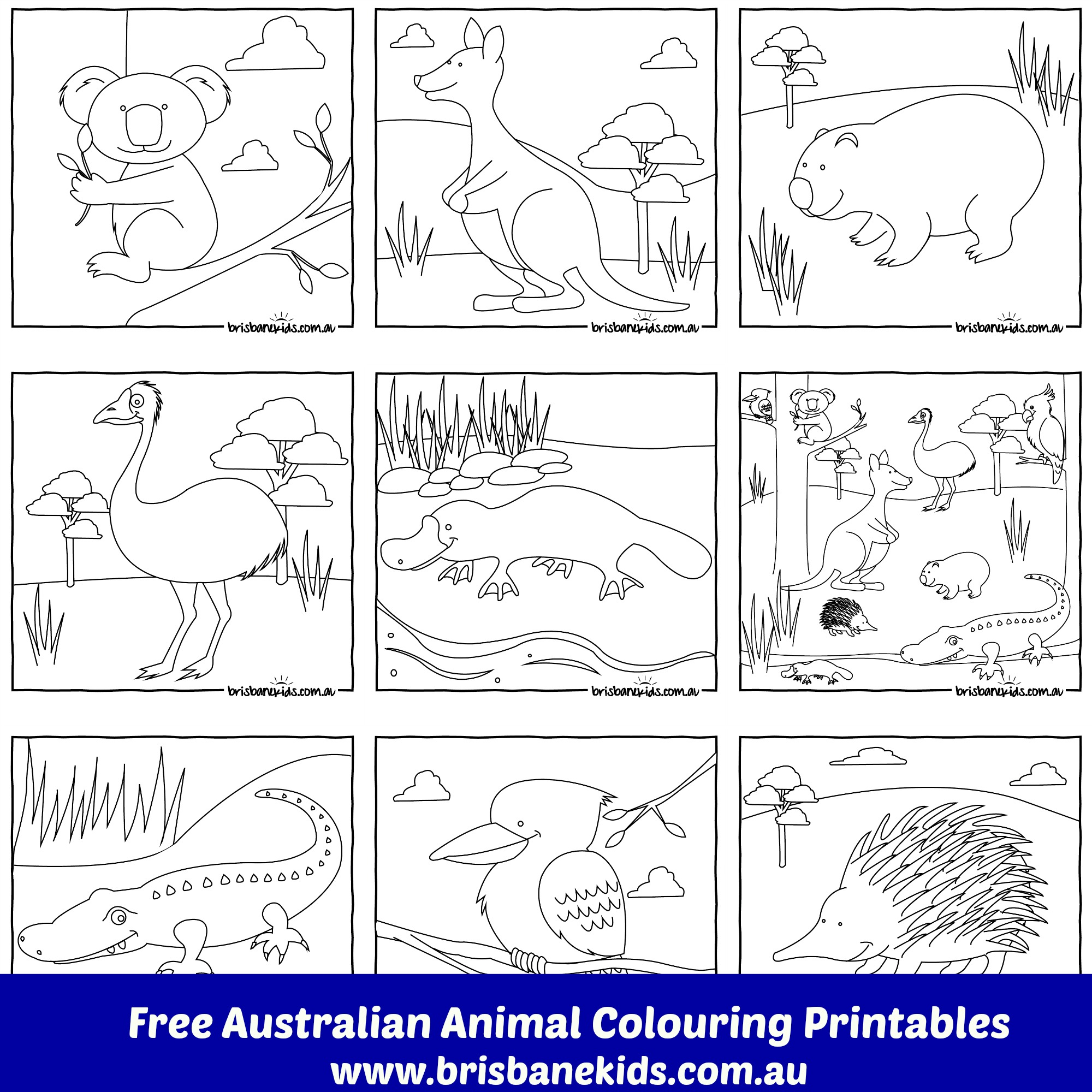 Australian Animals Colouring Pages | Brisbane Kids - Free Printable Australian Animals