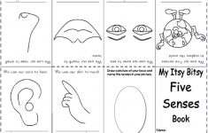 Free Printable Worksheets Kindergarten Five Senses