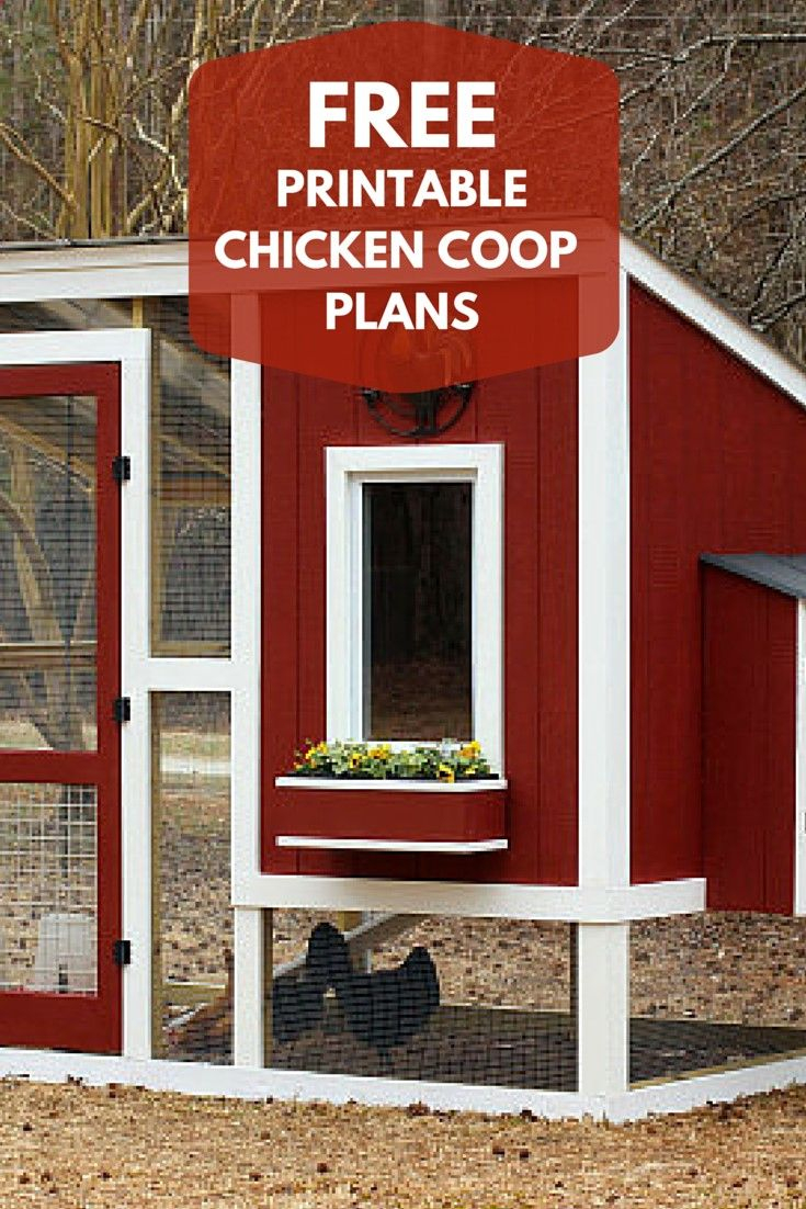 Build A Custom Chicken Coop With Free Printable Plans From Hgtv - Free Printable Chicken Coop Plans