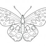 Butterfly Coloring Pages | Free Coloring Pages   Free Printable Butterfly Coloring Pages