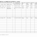 Calorie Counter Spreadsheet – Theomega.ca   Free Printable Calorie Counter Sheet