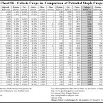 Chart: Food Calorie Chart   Free Printable Calorie Chart