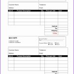 Check Stubs Free Templates Make Fake Pay Download Printable Resume   Free Printable Check Stubs Download