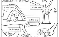 Free Printable Hibernation Worksheets