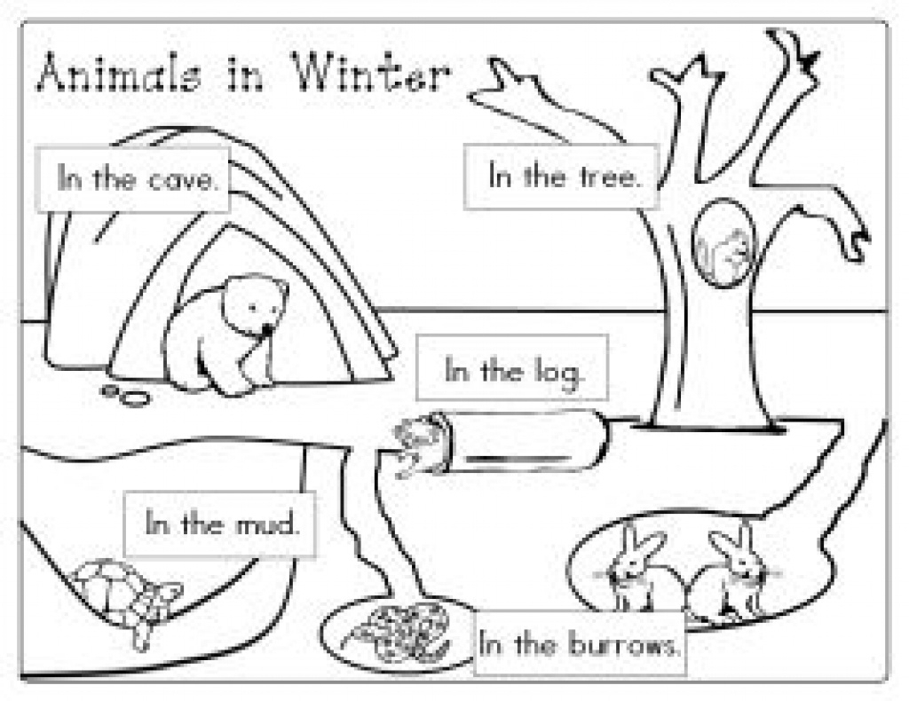 Free Printable Hibernation Worksheets  Free Printable