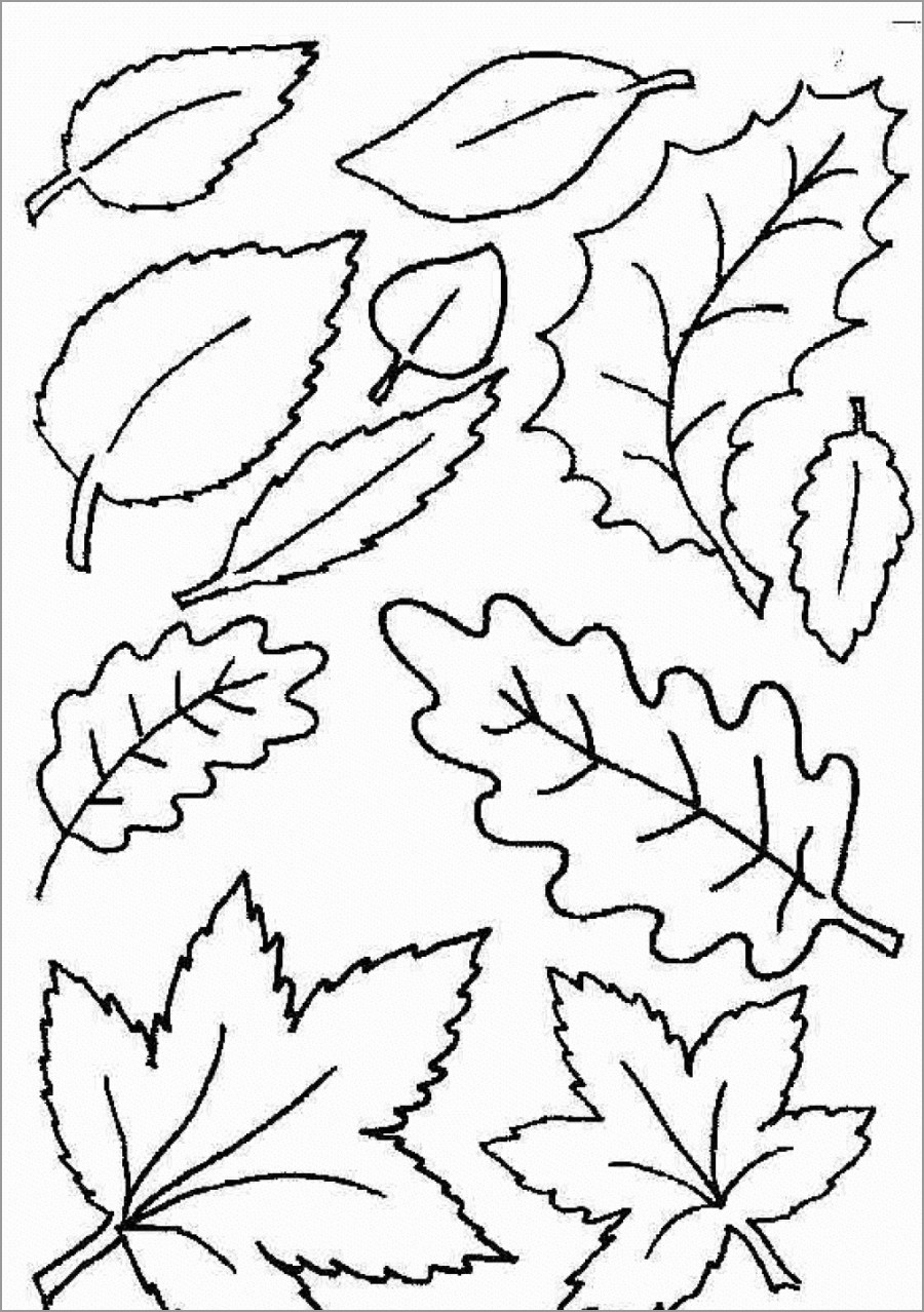 Coloring Pages ~ Autumn Leaves Coloring Pagesee For Kidsautumn - Free Printable Pictures Of Autumn Leaves