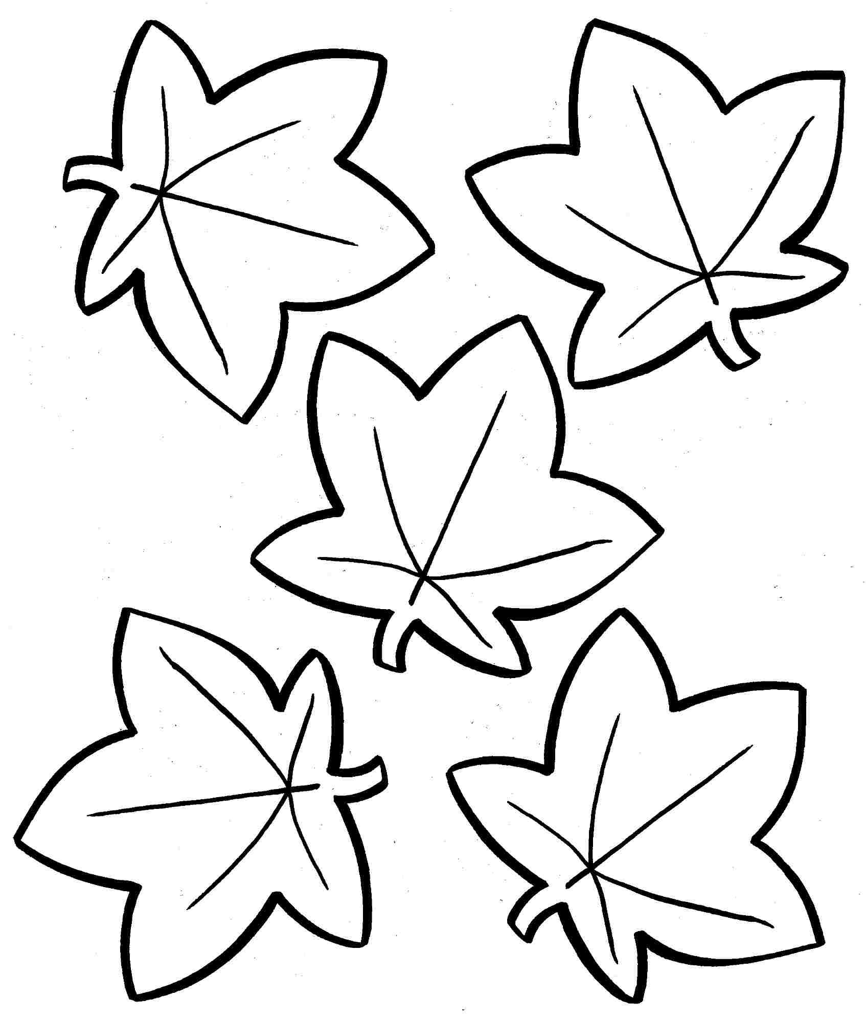 Coloring Pages: Awesome Autumn Leaves Coloring Pages Photo - Free Printable Leaf Coloring Pages
