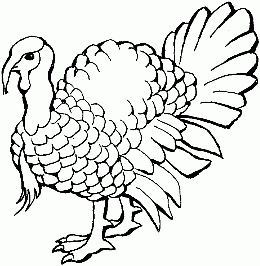 Coloring Pages ~ Color Page Turkey Free Coloring Pages To Print - Free Printable Turkey