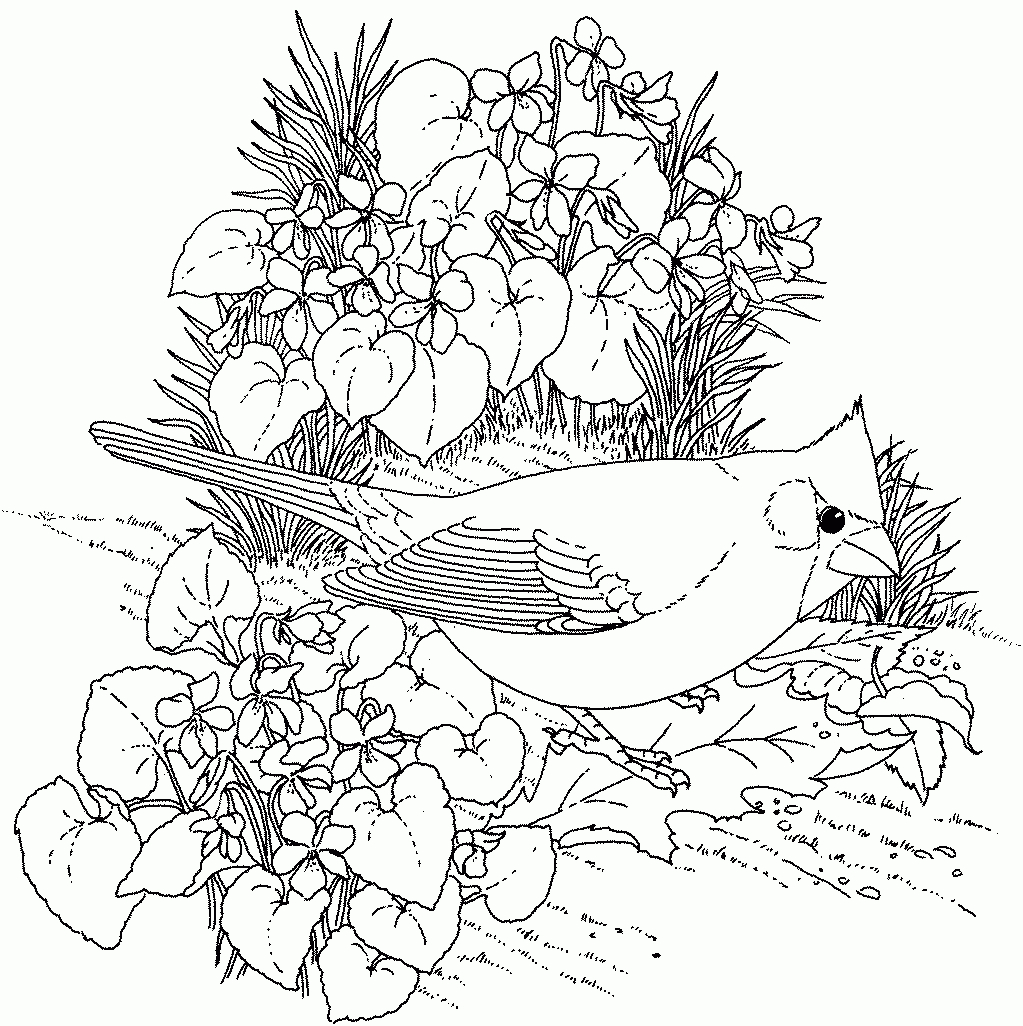 Coloring Pages ~ Coloring Pages Adult Flowers To Download And Print - Free Printable Flower Coloring Pages For Adults