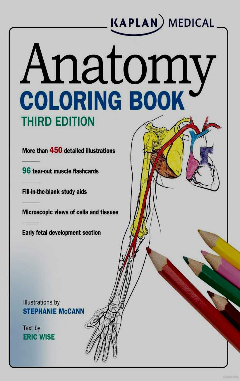 Coloring Pages : Coloring Pagesle Book Free Anatomy On Google - Free Printable Muscle Flashcards