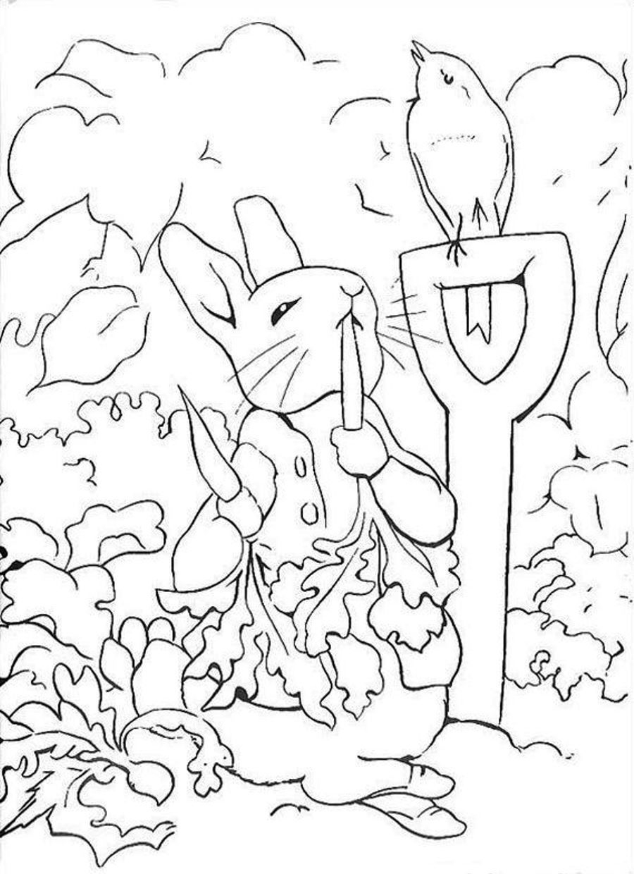 Coloring Pages Peter Rabbit 05 | Color Me Suprized | Pinterest - Free Printable Peter Rabbit Coloring Pages