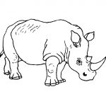 Coloring Pages : Wild Animaloloring Sheets Animals Pages Amazing   Free Printable Wild Animal Coloring Pages