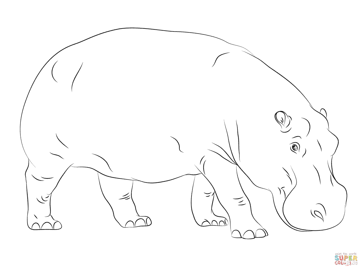 Cute Hippopotamus Coloring Page | Free Printable Coloring Pages - Free Printable Hippo Coloring Pages