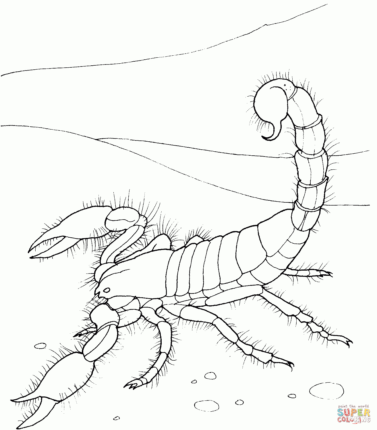 Desert Animals Coloring Pages | Free Printable Pictures - Free Printable Desert Animals