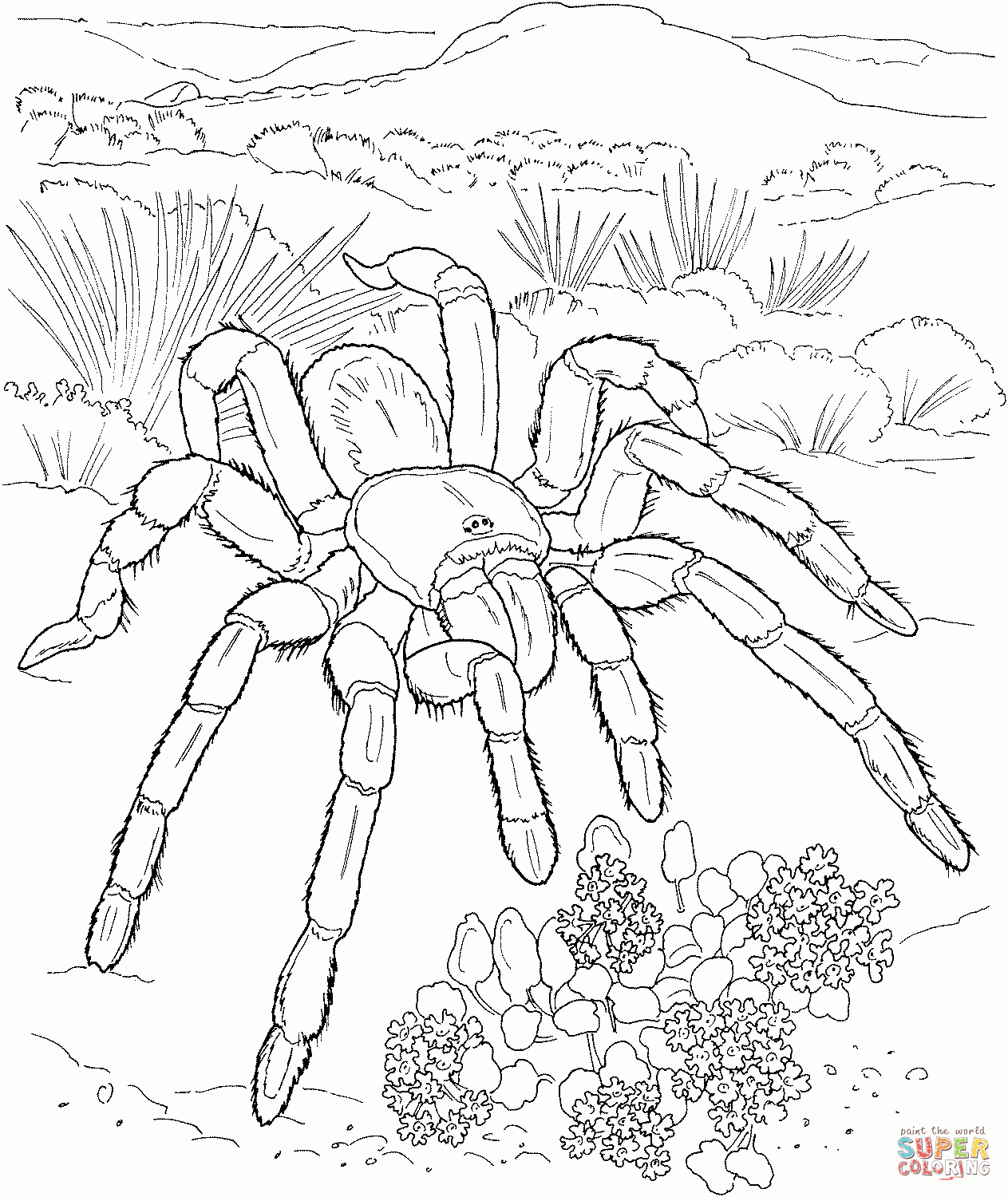 Desert Animals Coloring Pages | Free Printable Pictures - Free Printable Desert Animals