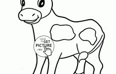 Coloring Pages Of Cows Free Printable