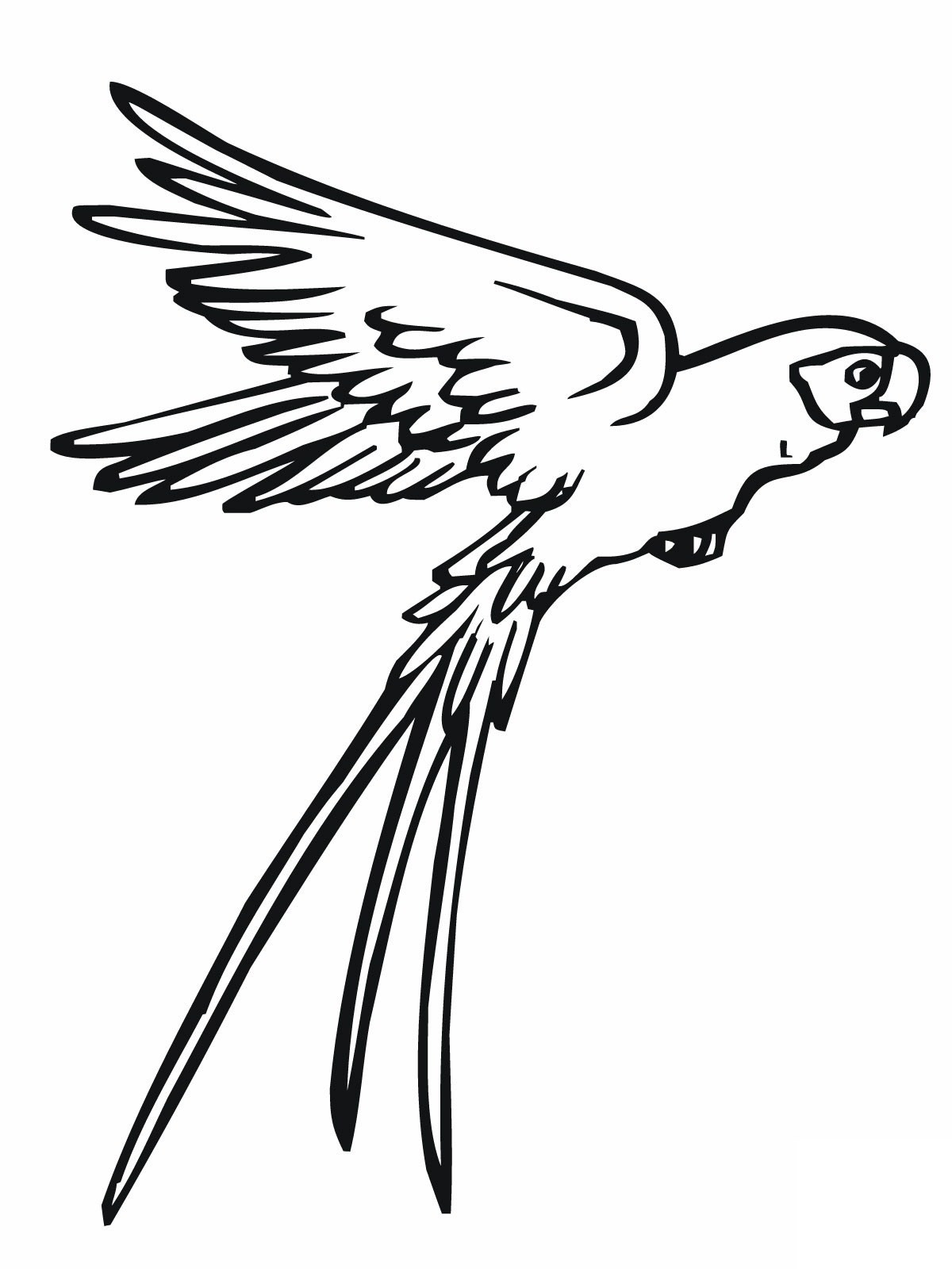 √ Free Printable Parrot Coloring Pages For Kids - Free Printable Parrot Coloring Pages