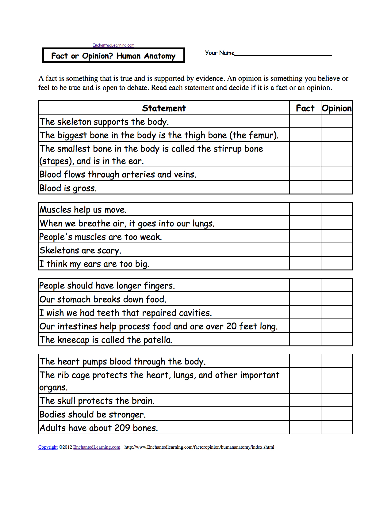 Fact Or Opinion? Human Anatomy, A Worksheet. Enchantedlearning - Free Printable Human Anatomy Worksheets