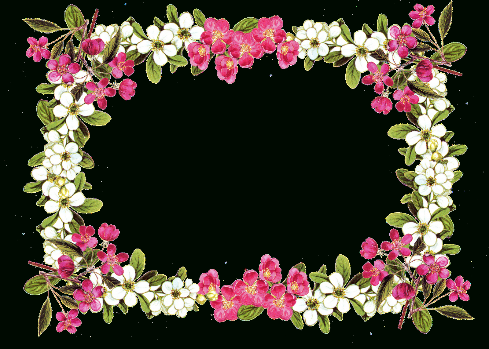 Flower Printable Clipart Collection - Free Printable Clipart Of Flowers