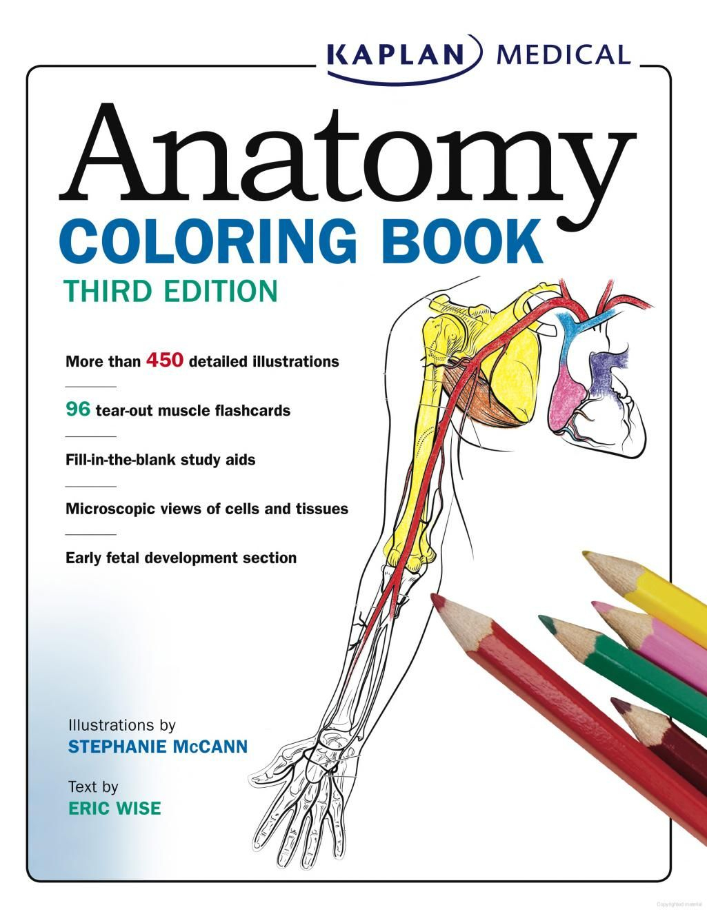 Free: Anatomy Coloring Book On Google#college #anatomy | Cc Cycle 3 - Free Printable Muscle Flashcards