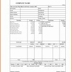 Free Blank Check Stubs Pdf Printable Download Templates Template   Free Printable Check Stubs Download