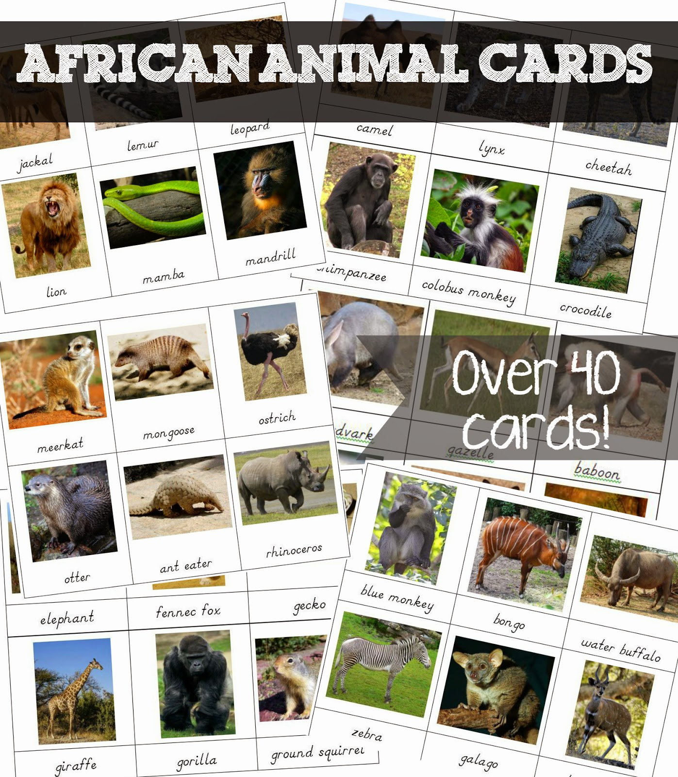 Free Printable African Animal Cards - Welcome To Mommyhood - Free Printable Animal Cards