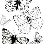 Free Printable Butterfly Colouring Pages | Coloring Tutorials   Free Printable Butterfly Pictures