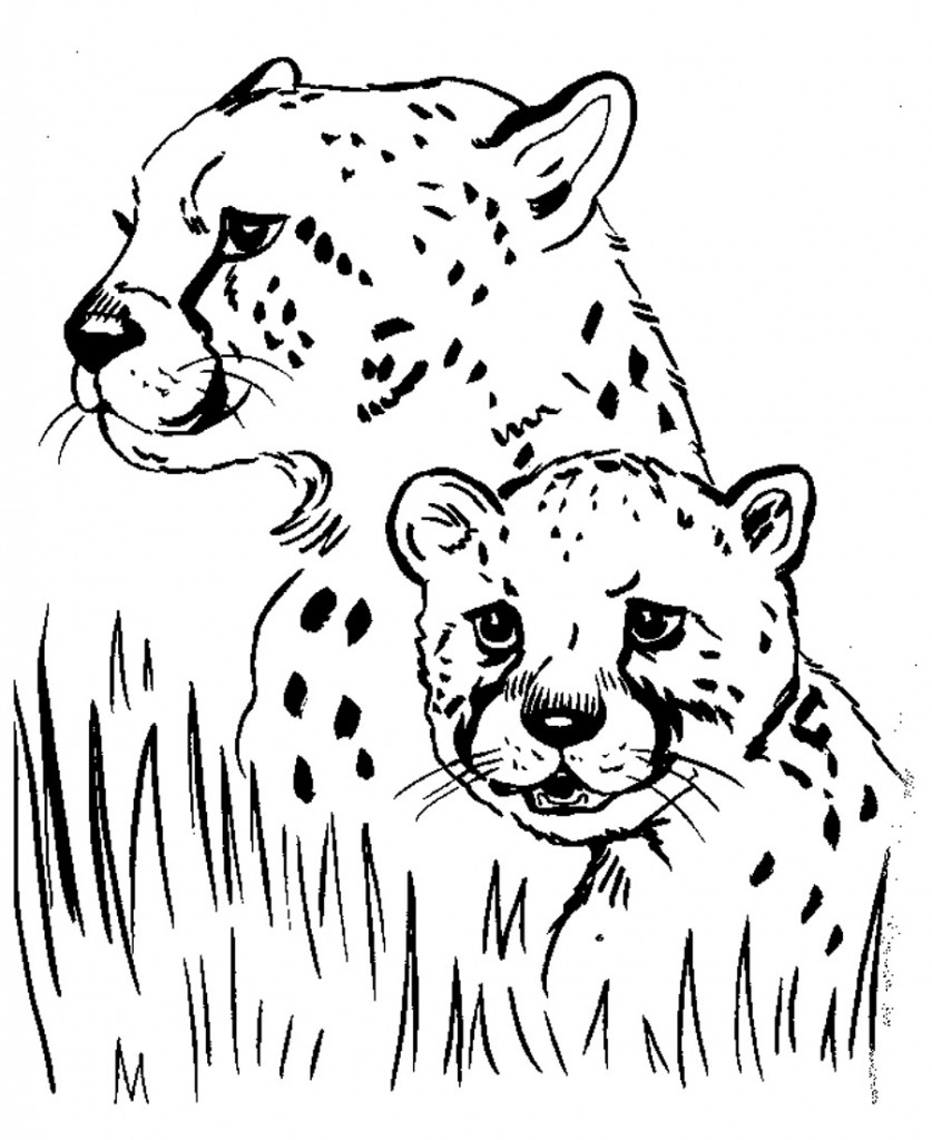 Free Printable Cheetah Coloring Pages For Kids | Coloriage Pour Les - Free Printable Cheetah Pictures