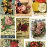 Free Printable Decoupage Papers | Decoupage Paper Collage Sheets   Free Printable Decoupage Images