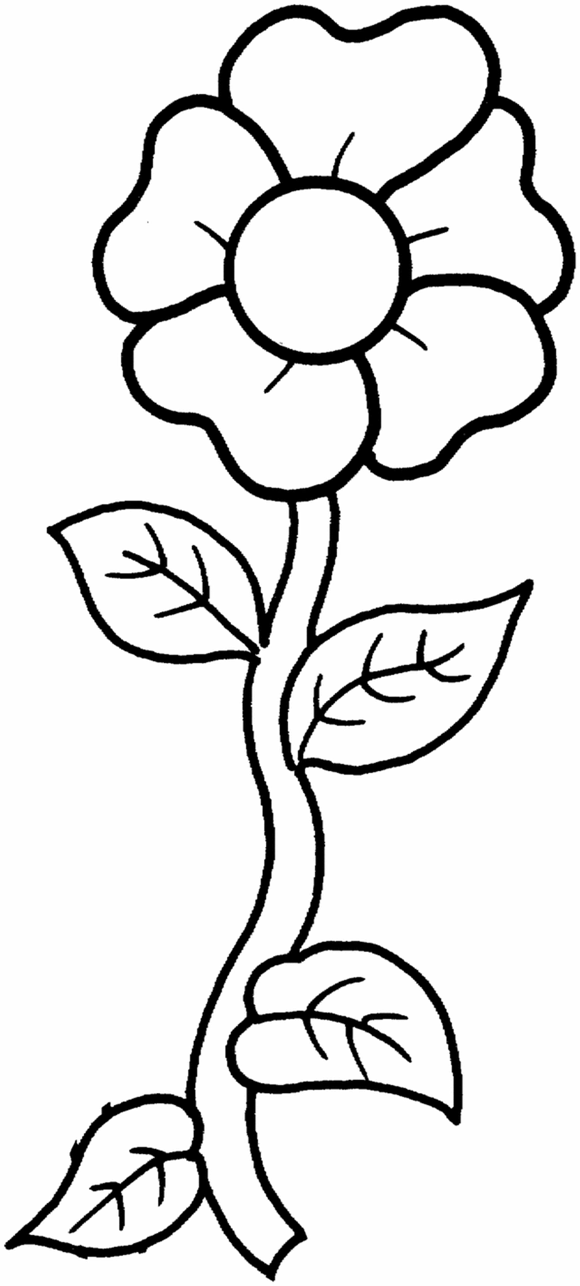 Free Printable Flower Coloring Pages For Kids Best | Coloring_Pages - Free Printable Flower Coloring Pages
