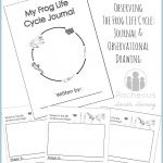 Free Printable Frog Life Cycle Journal | Science Notebooking   Life Cycle Of A Frog Free Printable Book