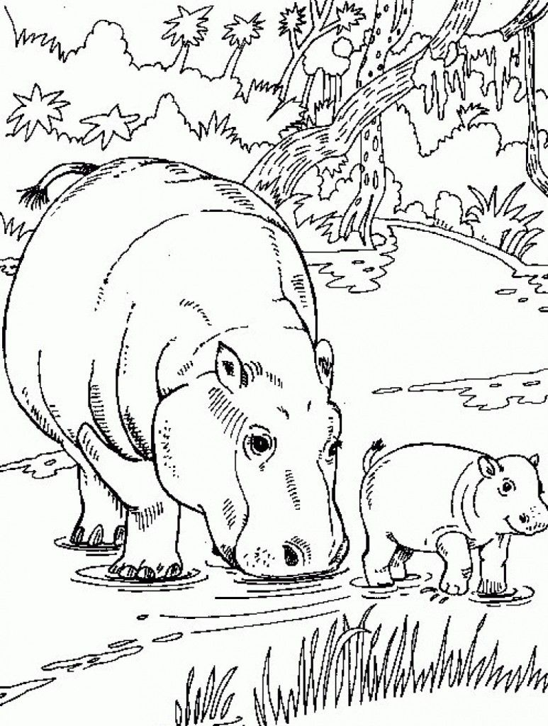 Free Printable Hippo Coloring Pages For Kids | Animals | Pinterest - Free Printable Hippo Coloring Pages
