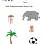 Free Printable Kids Science Worksheet For Kindergarten   Free Printable Worksheets For Kg1