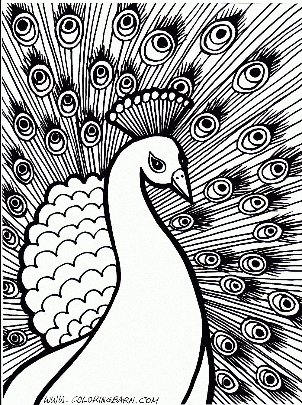 Free Printable Peacock Coloring Pages For Kids | Coloring Peacocks - Free Printable Peacock Pictures