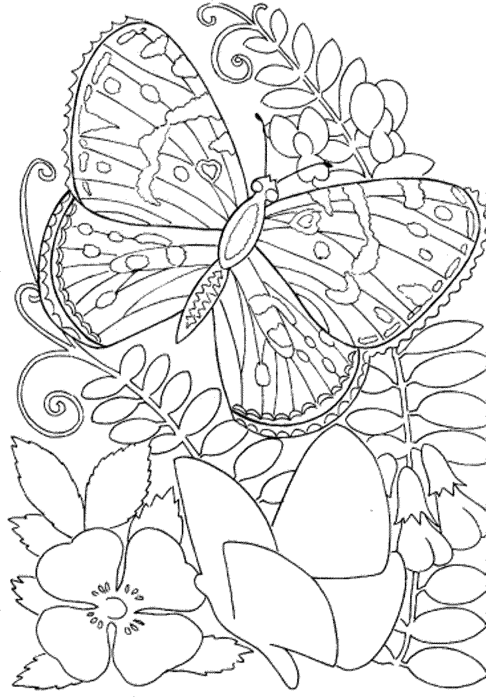 Free Printable Spring Coloring Pages For Adults - Coloring Home - Free Printable Spring Coloring Pages For Adults