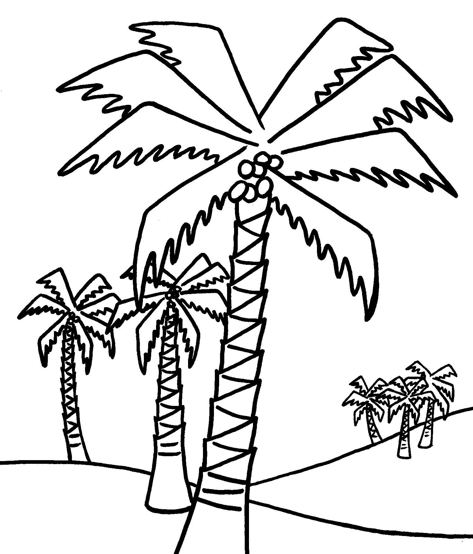 Free Printable Tree Coloring Pages For Kids | Coloring Pages | Tree - Free Printable Palm Tree Template
