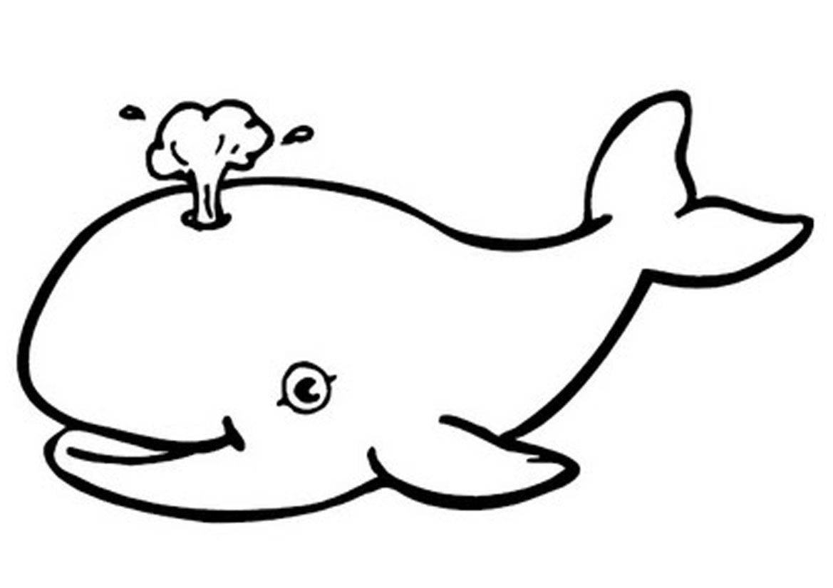 Free Printable Whale Coloring Pages For Kids | Ko | Pinterest - Free Printable Whale Template