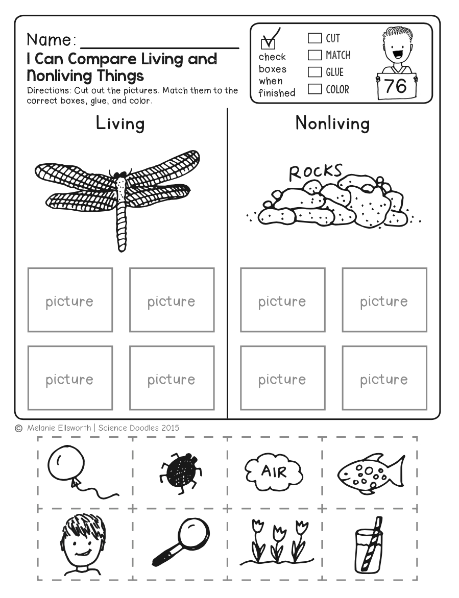 Freebie! No-Prep Kindergarten Science Doodle Printables | T E A C H - Free Printable Science Worksheets