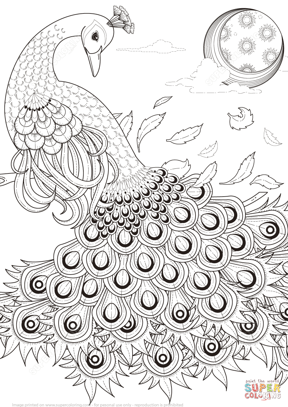 Graceful Peacock Coloring Page | Free Printable Coloring Pages - Free Printable Peacock Pictures