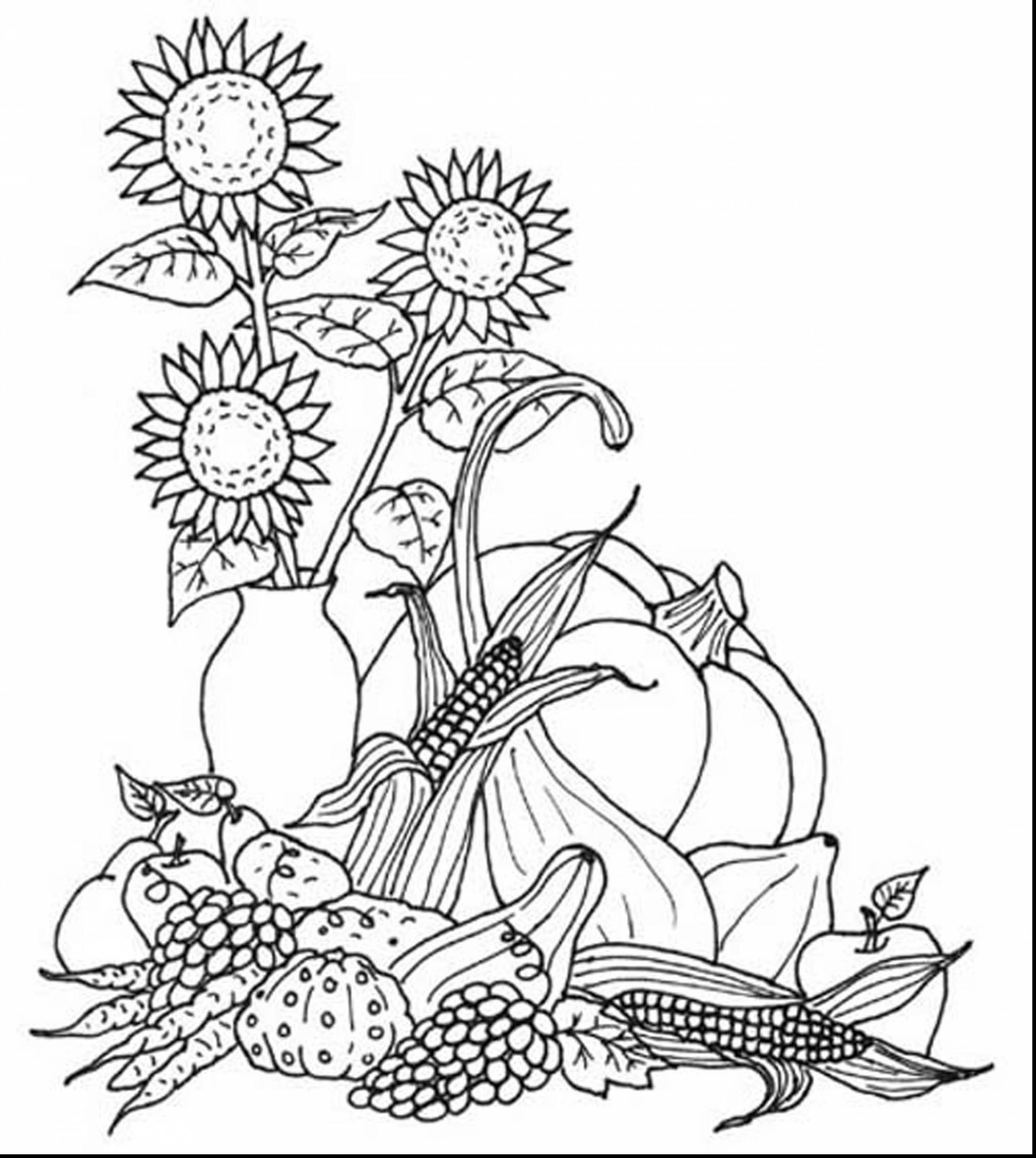 Harvest Coloring Pages Printables - Free Printable Fall Harvest Coloring Pages