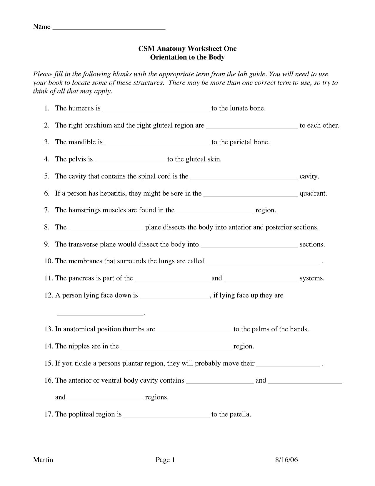 High School Grammar Worksheets. Grammar. Alistairtheoptimist Free - Free Printable Grammar Worksheets For Highschool Students