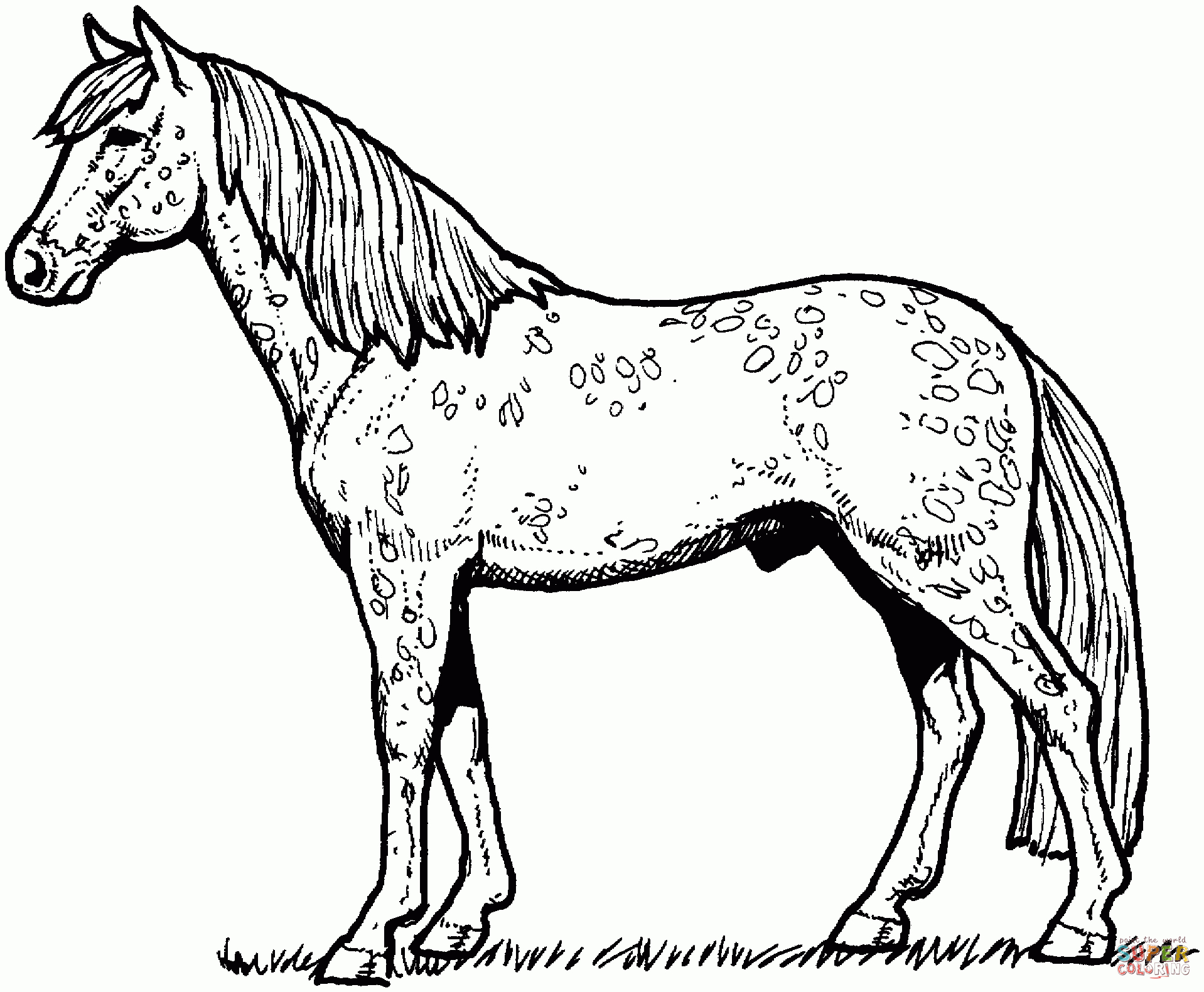 Horses Coloring Pages | Free Coloring Pages - Free Printable Horse Coloring Pages