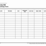 Inspirational Monthly Bill Organizer Template | Www.pantry Magic   Free Printable Bill Organizer