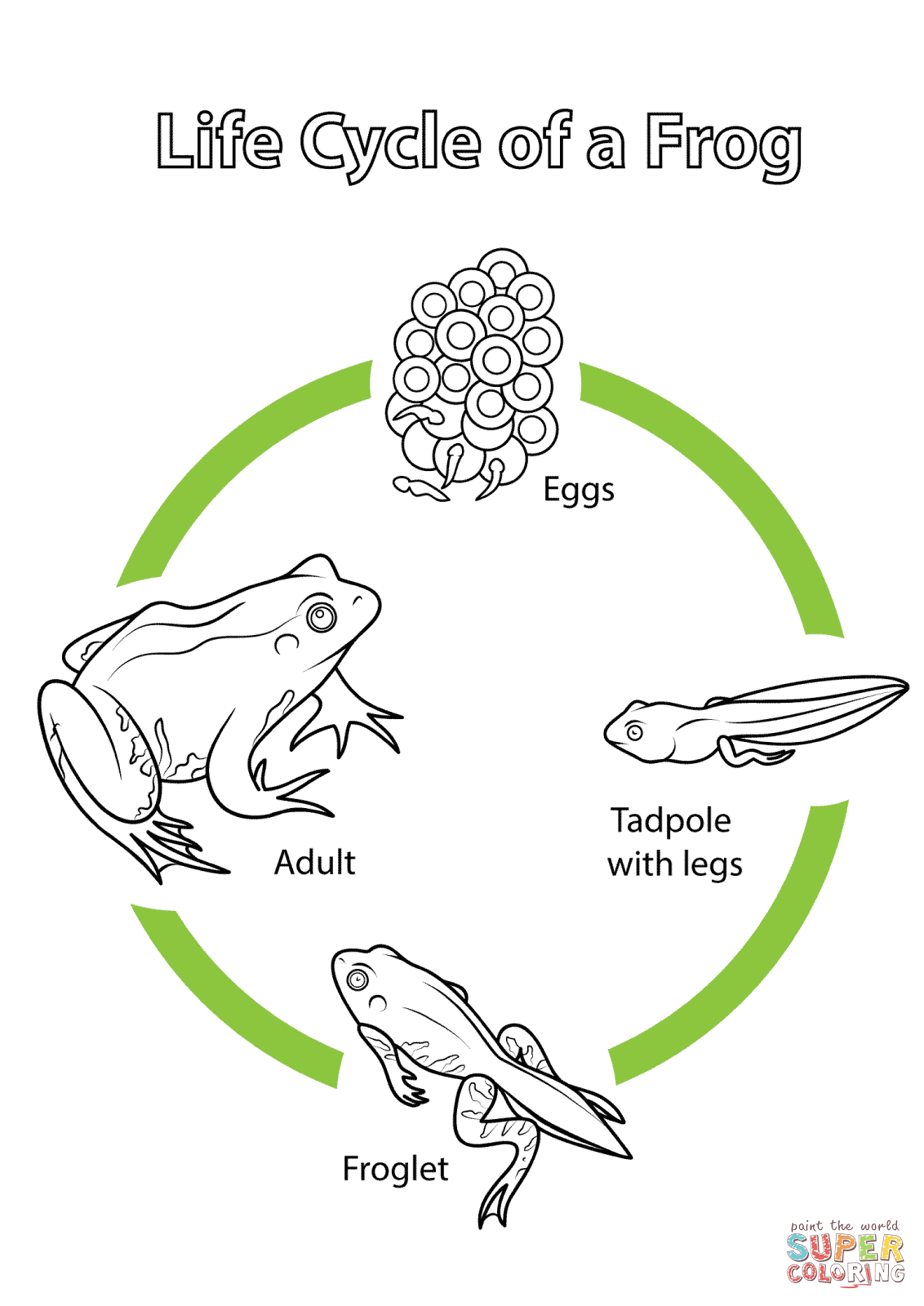 Life Cycle Of A Frog Coloring Page | Free Printable Coloring Pages - Life Cycle Of A Frog Free Printable Book