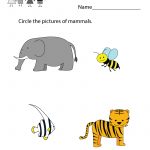 Life Science Worksheet   Free Kindergarten Learning Worksheet For Kids   Free Printable Worksheets For Kg1